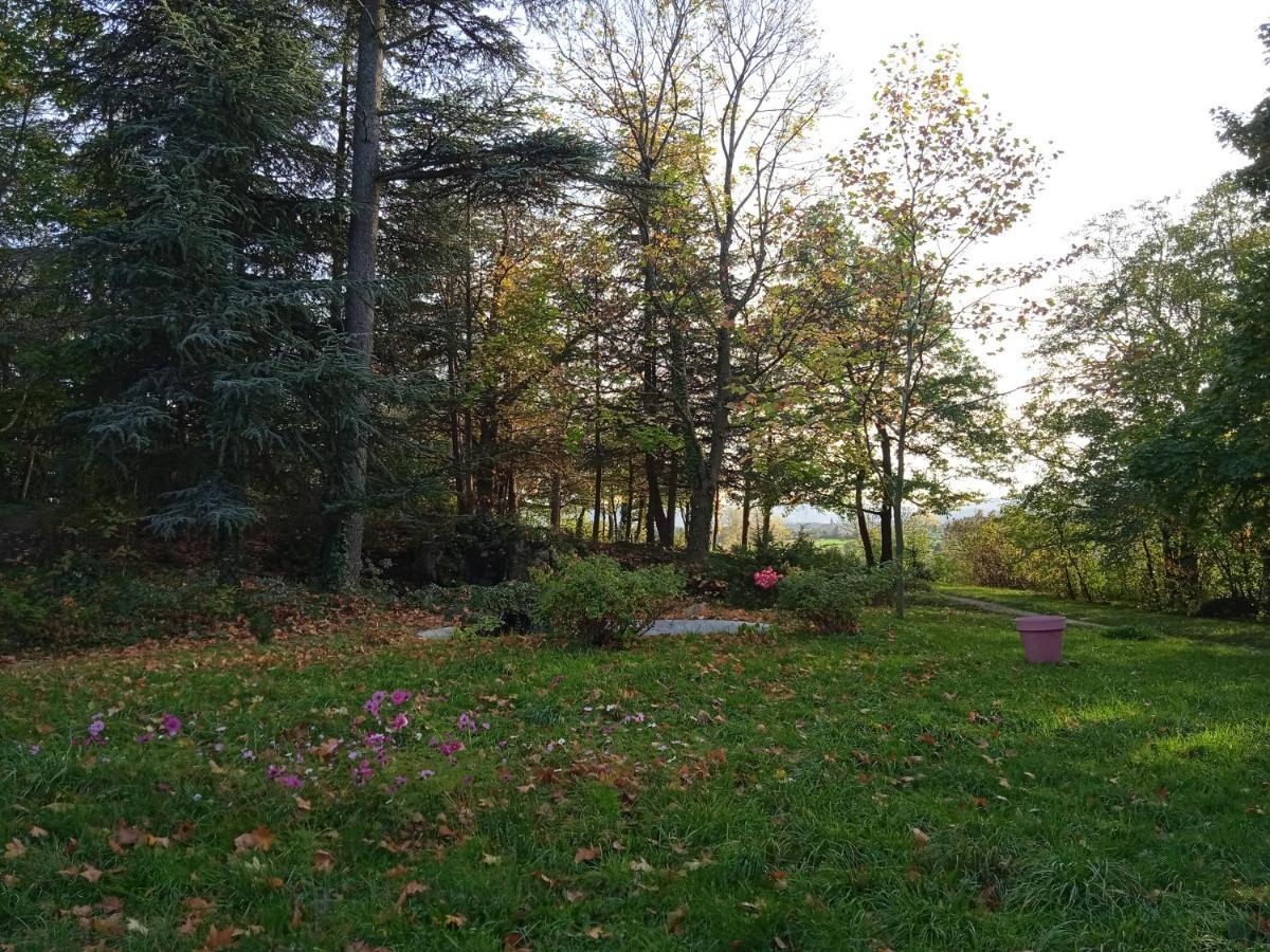 Maison Calme Avec Piscine Entouree De Son Parc Quintenas Buitenkant foto