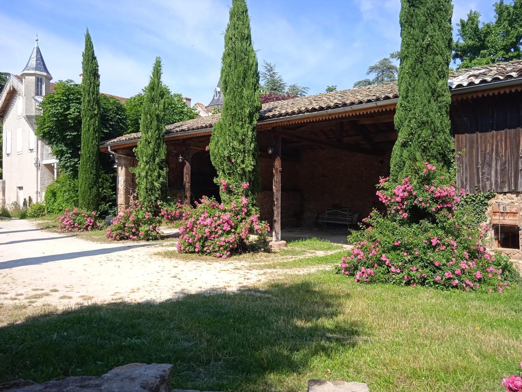 Maison Calme Avec Piscine Entouree De Son Parc Quintenas Buitenkant foto
